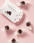 The Caramels Deep Chocolate Pillow Box by McCrea's Candies