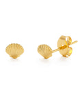 The Tiny Shell Stud Earrings
