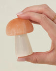 The Selenite Mushroom