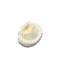 The Sally Hand-Painted Seashell Claw Clip