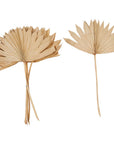 Sun Cut Dried Palm Bunch