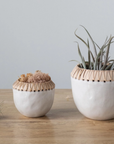 The Rattan Stitch Planter
