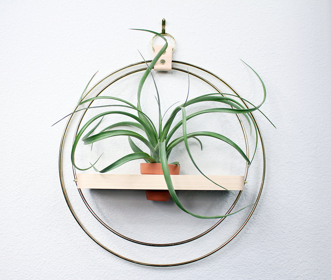 The Adi Plant Shelf By Braid &amp; Wood Design Studio