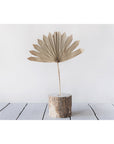 Sun Cut Dried Palm Bunch