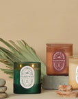 The Redwoods + Amber Vista Candle