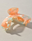 The Indy Butterfly Claw Clip
