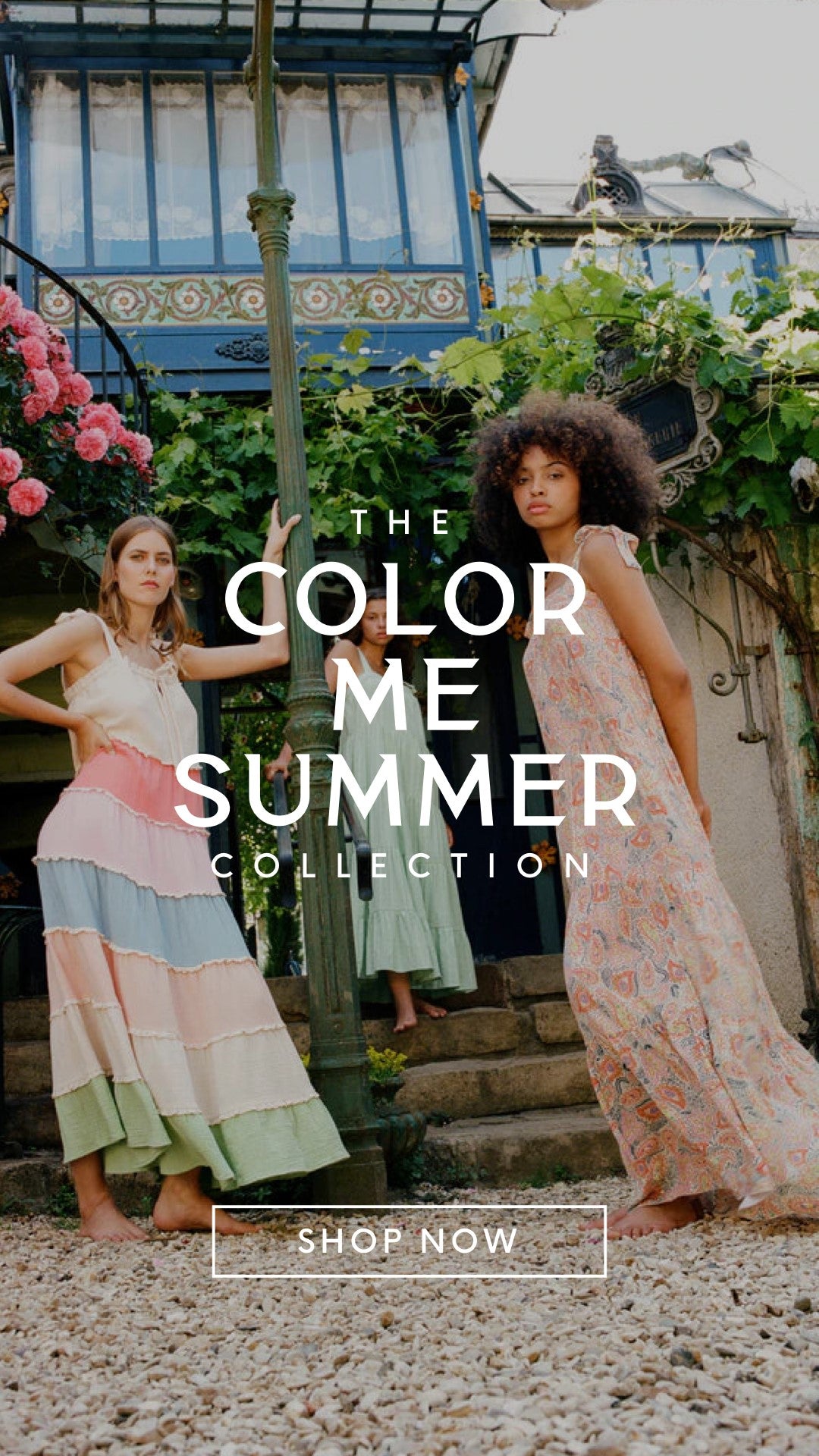 Color Me Summer
