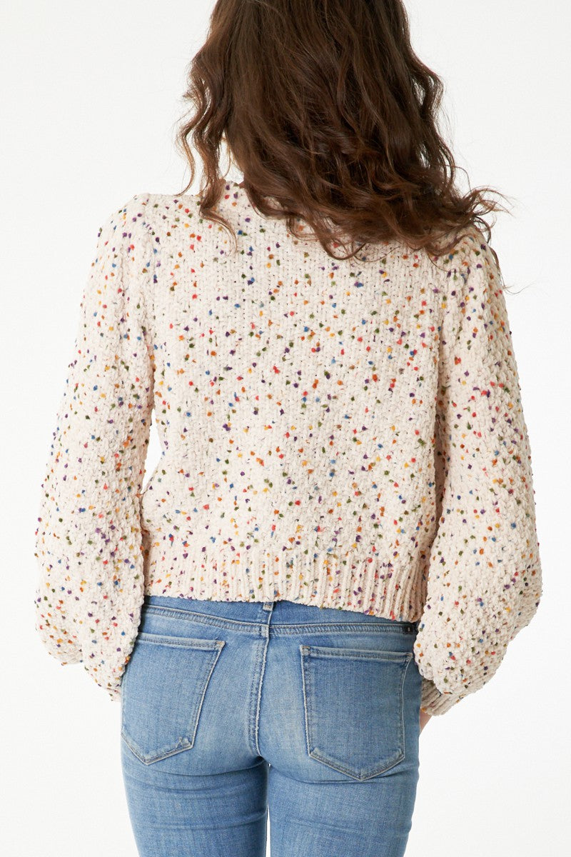 The Remi Confetti Cropped Sweater