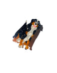 The Hand-Painted Bernese Mountain Claw Clip