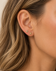 The Seashell Studs by SALT by Sarah Curtis