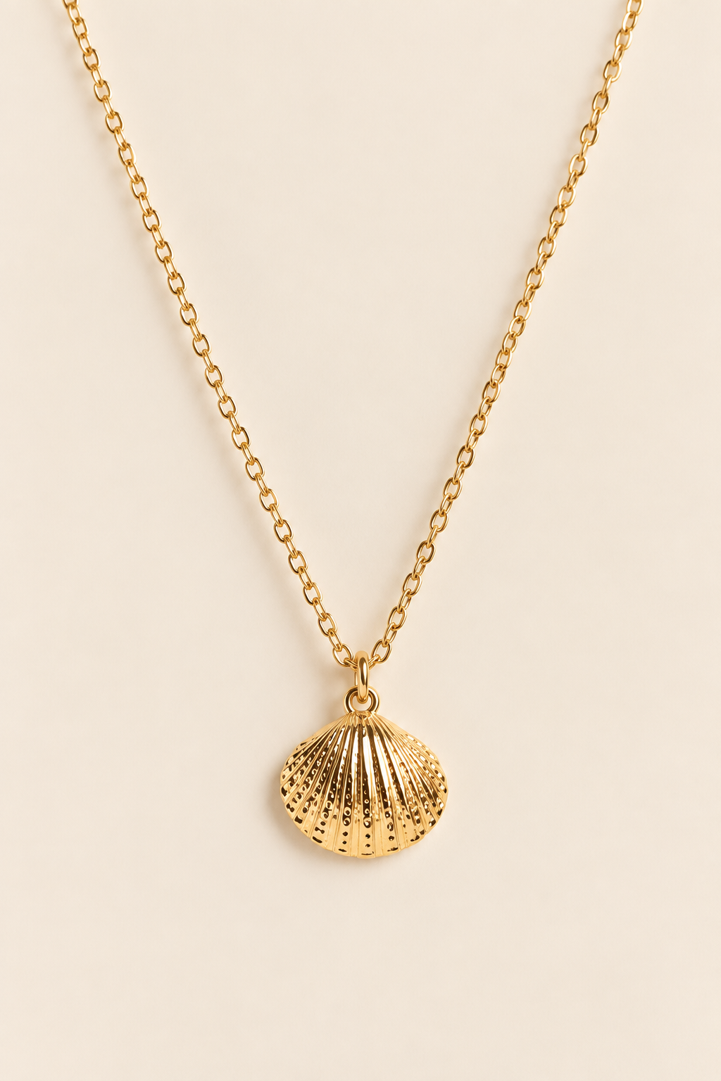 The Scallop Seashell Necklace by SALT by Sarah Curtis