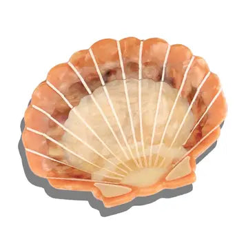 The Meri Hand-Painted Seashell Claw Clip