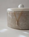 The Vertical Cz Drop Necklace