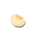 The Sally Hand-Painted Seashell Claw Clip