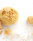 Silk Facial Sea Sponge by Nash and Jones