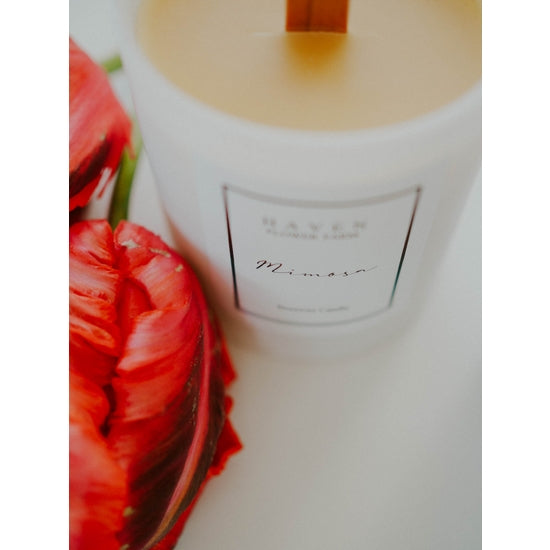 Mimosa Beeswax Candle by Haven Flower Farm
