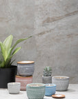 The Sonora Etched Candle - Cotton + Teak