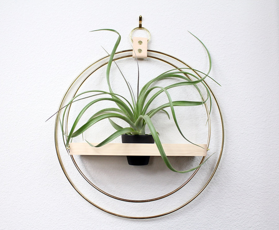 The Adi Plant Shelf By Braid & Wood Design Studio