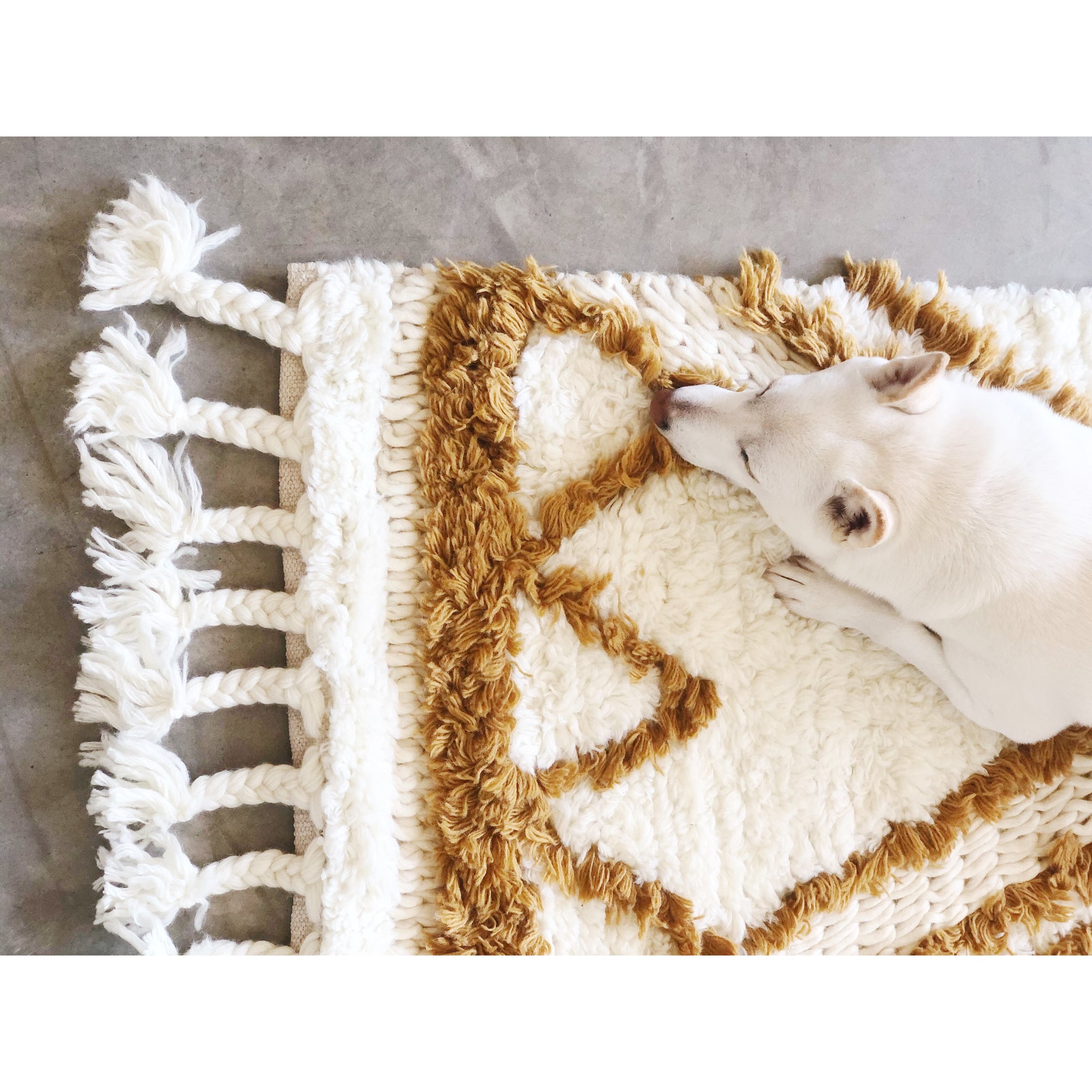 The Chunky Accent Tufted Rug