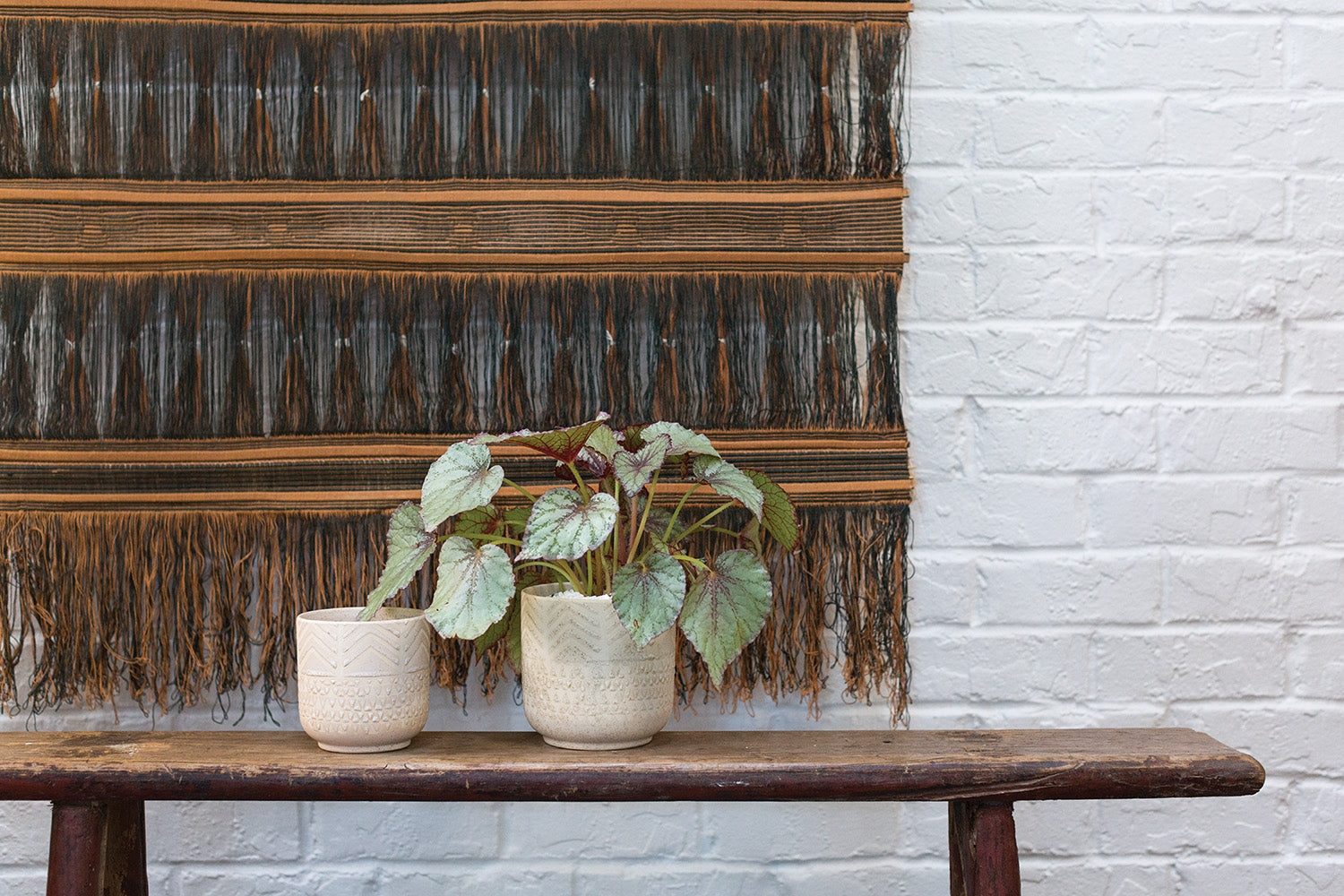 The Indo Pot – Thread + Seed