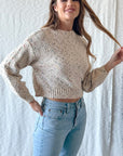 The Olivia Rainbow Speckle Cropped  Sweater